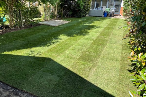 Turfing specialists herts 2023-07-22 at 09.55.26