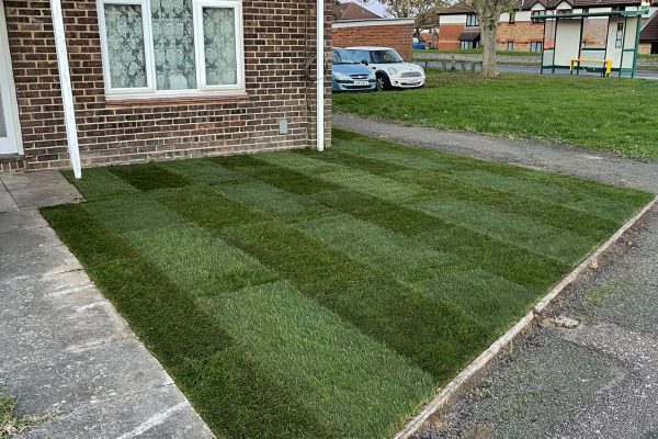Turfing specialists herts 2023-07-22 at 09.55.27 (1)