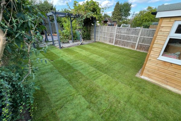 Turfing specialists herts 2023-07-22 at 09.55.28